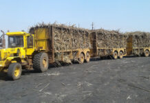 Sugar tariff hike offers relief; industry says more is needed