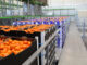 Fruit industry must turn rising volumes into better returns
