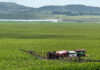 Local trials underpin Corteva’s drive for resilient crops
