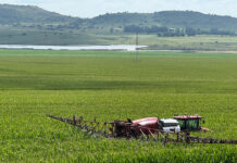 Local trials underpin Corteva’s drive for resilient crops