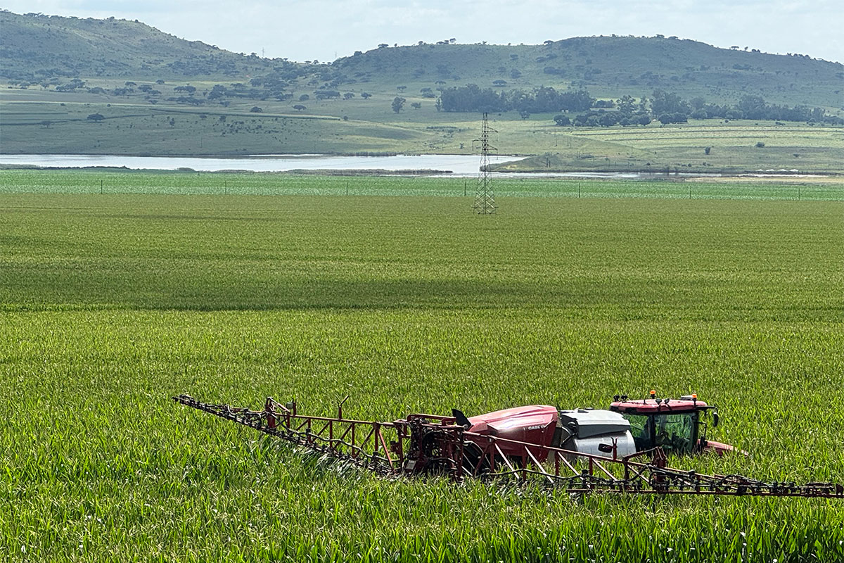 Güney Afrika’da Yerel Tohum Denemeleri Dayanıklı Ürün Hedefini Destekliyor