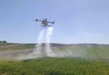 Technology and scale, not land alone, will shape farming’s future – Roodt