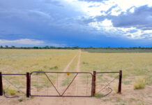 Namibia bans exports and animal movement after confirmed FMD case