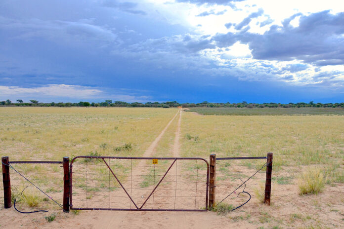 Namibia bans exports and animal movement after confirmed FMD case