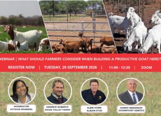 WEBINAR | What should farmers consider when building a productive goat herd?