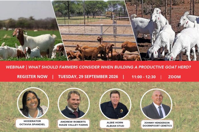 WEBINAR | What should farmers consider when building a productive goat herd?