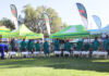 How the Windhoek Show grew into a regional agricultural hub