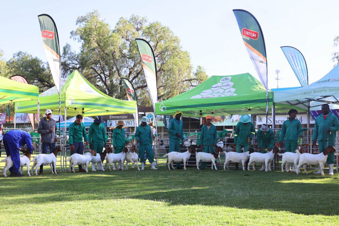 How the Windhoek Show grew into a regional agricultural hub