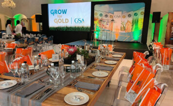 Grow for Gold: SA grain farmers push yields to new heights