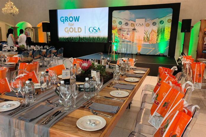 Grow for Gold: SA grain farmers push yields to new heights