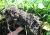 Farmers cannot carry regenerative agriculture costs alone