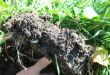 Farmers cannot carry regenerative agriculture costs alone