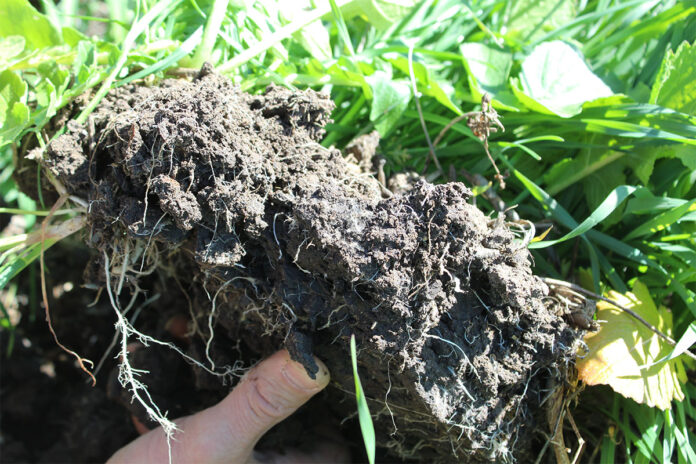 Farmers cannot carry regenerative agriculture costs alone