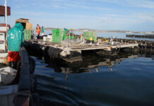 The state of SA’s small-scale aquaculture