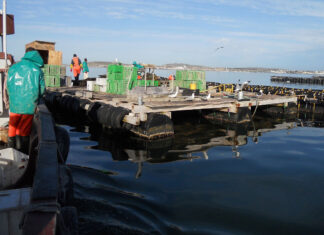 The state of SA’s small-scale aquaculture