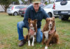 ‘A well-trained dog is far better at reading sheep than we are’