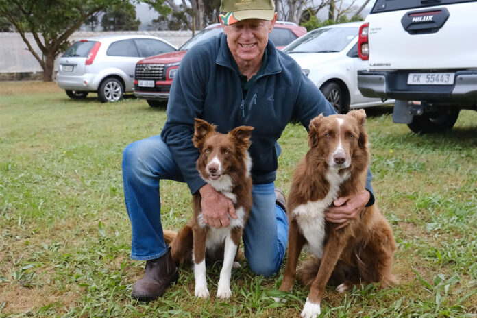 ‘A well-trained dog is far better at reading sheep than we are’