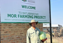 New packhouse boosts North West vegetable farmer’s prospects