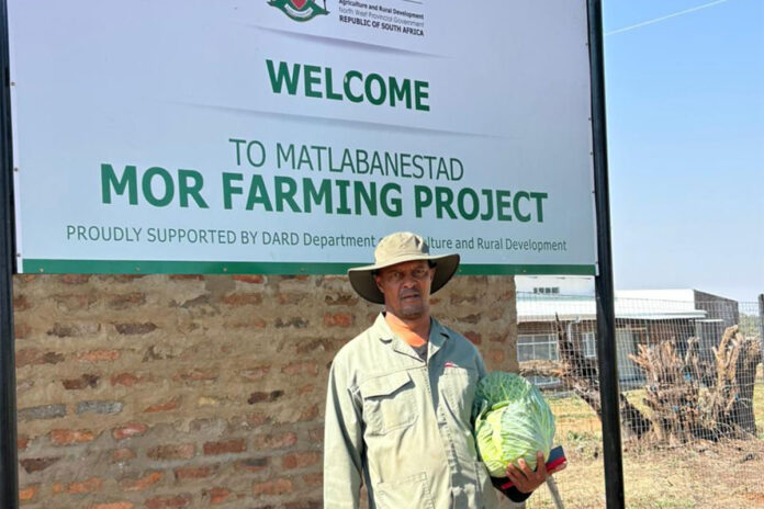 New packhouse boosts North West vegetable farmer’s prospects