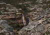 Hidden lives in a hidden valley