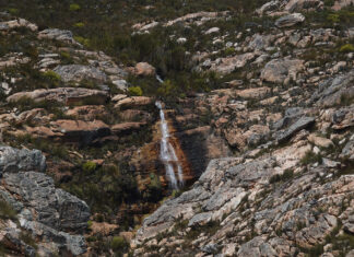 Hidden lives in a hidden valley