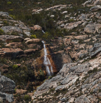 Hidden lives in a hidden valley