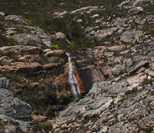 Hidden lives in a hidden valley