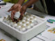 OBP acting CEO suspended as vaccine pricing allegations probed