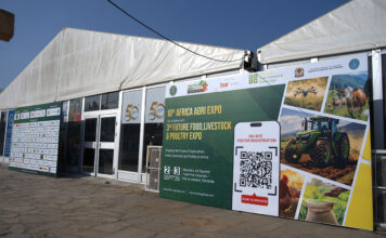 Beyond production: Creating more value from African agriculture