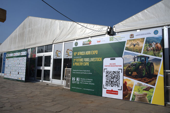 Beyond production: Creating more value from African agriculture