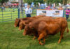 Royal Show marks 175 years with a celebration