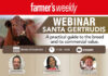 Santa Gertrudis: A practical guide to the breed and its commercial value