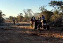 Botswana to streamline game-farming permit applications
