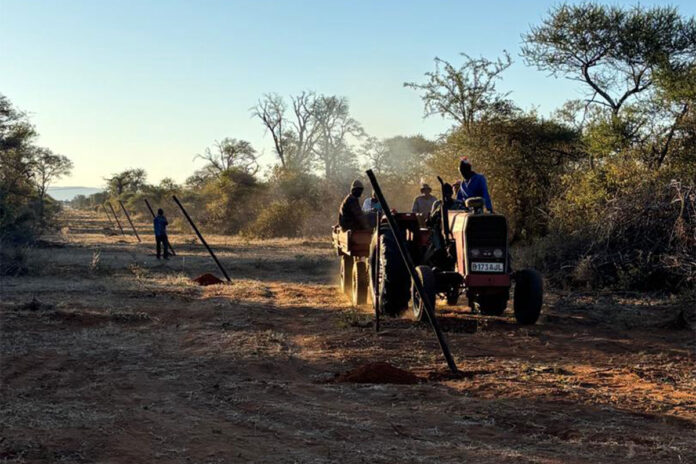 Botswana to streamline game-farming permit applications
