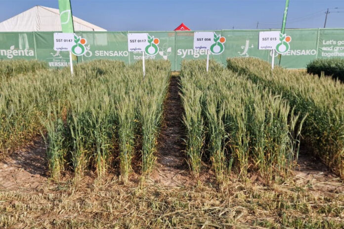 Technology and resilience in focus on first day at Nampo Cape 2026