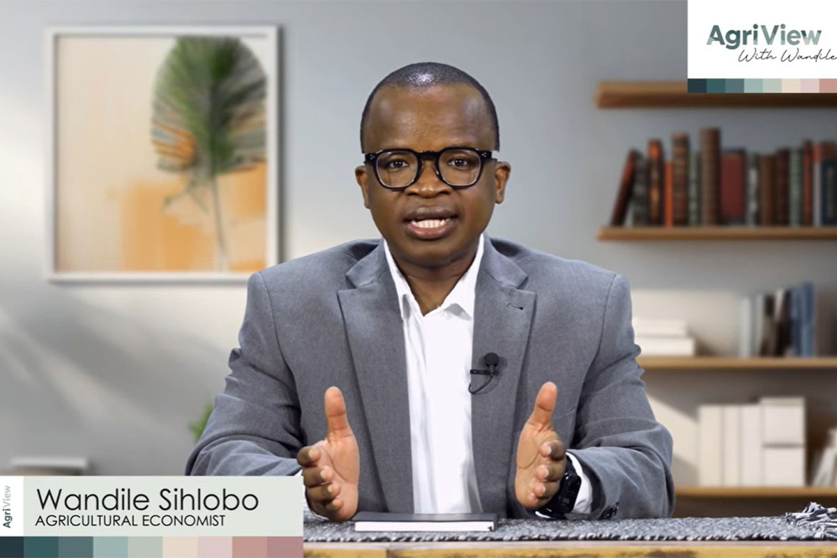 Is BRICS still relevant for SA agriculture A