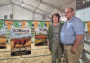 Climate change could make Senepol a winner for the Western Cape