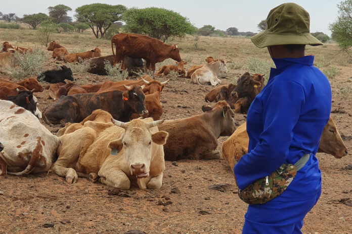 Poisonous plants: a hidden threat to livestock farm profitability