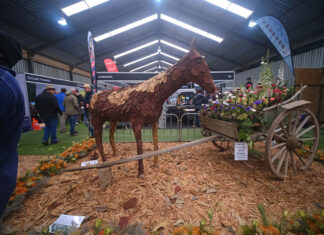 A flower spectacle at Nampo Cape