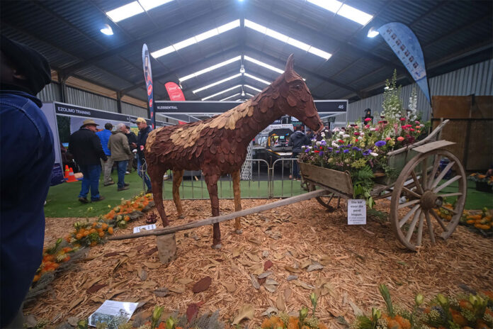 A flower spectacle at Nampo Cape