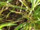Drought demands a different way of making farming decisions