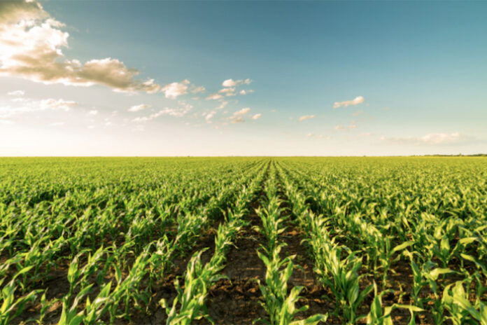 Land Bank funding squeeze puts agri transformation under scrutiny