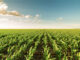 Land Bank funding squeeze puts agri transformation under scrutiny
