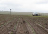 El Niño is here: should the production plan change?