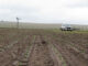 El Niño is here: should the production plan change?