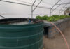 Aquaponics offers a practical solution for farming with less water