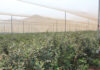 Farmers urged to chase profit, not tons