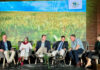 SACTA reinforces the importance of seed research