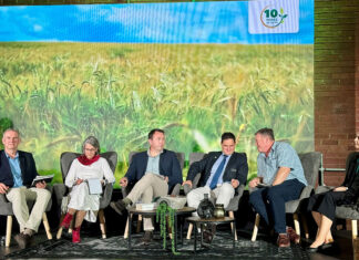 SACTA reinforces the importance of seed research