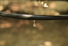 R15 billion in water losses threaten agricultural production